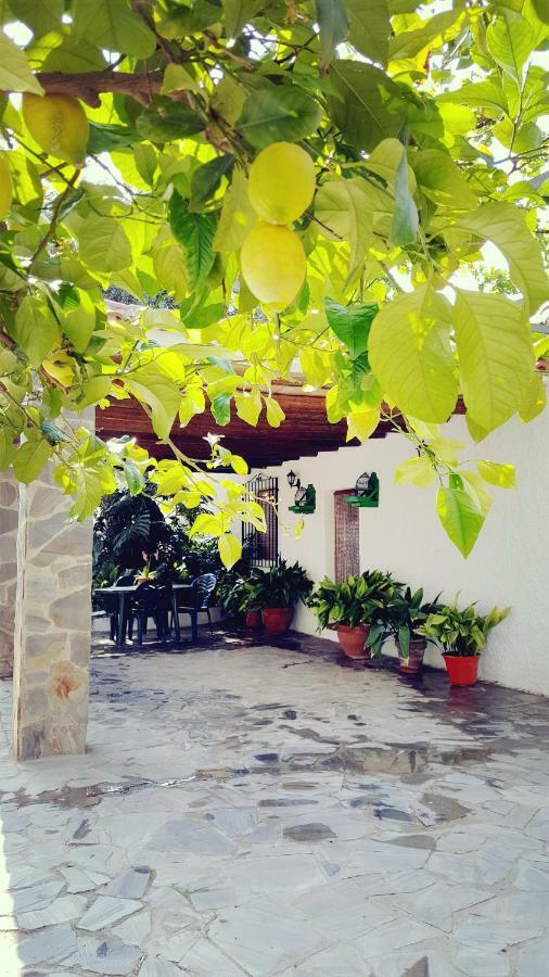オルヒバ Cortijo Laloヴィラ エクステリア 写真